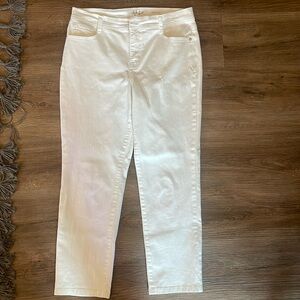 Style & Co Pants